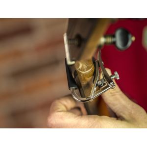 Shubb C5 Standard - Kapodaster do banjo | mandoliny - srebrny