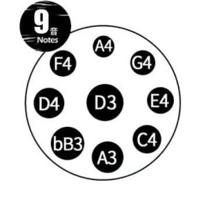 TUGA 9 Note 432Hz D-moll Black - Handpan