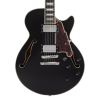 D'Angelico Premier SS Black Flake - gitara elektryczna