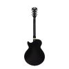 D'Angelico Premier SS Black Flake - gitara elektryczna
