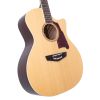 D'angelico Premier Gramercy Natural - gitara akustyczna