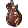 D’Angelico Deluxe SS Brown Burst - gitara elektryczna