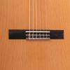 Angel Lopez Alicante CM - gitara klasyczna, rozmiar 4/4