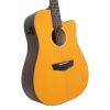 D'angelico Premier Bowery 12 LS Vintage Natural - gitara elektroakustyczna 12-strunowa