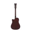 D'angelico Premier Bowery 12 LS Vintage Natural - gitara elektroakustyczna 12-strunowa