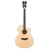 D'angelico Premier Gramercy LS Natural - gitara elektroakustyczna