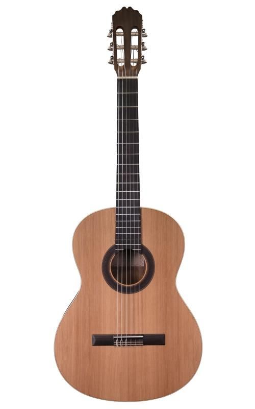 Prodipe Guitars Student LH 4/4 - gitara klasyczna leworęczna