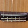 Prodipe Guitars Student LH 4/4 - gitara klasyczna leworęczna