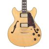 D’Angelico Deluxe Mini DC Satin Honey - gitara elektryczna