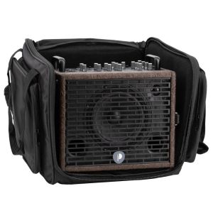 Prodipe Traveler 6 - combo akustyczne 120W