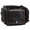 Prodipe Traveler 6 - combo akustyczne 120W