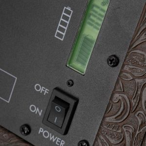 Prodipe Traveler 6 - combo akustyczne 120W