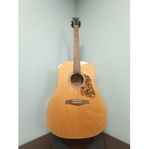 Levinson LD-25 - gitara akustyczna - po zwrocie
