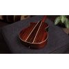 Faith HiGloss Venus Cutaway Electro FVHG3 - gitara elektroakustyczna