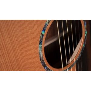 Faith PJE Legacy Earth Cutaway Electro Rosewood FG2HCE - gitara elektroakustyczna