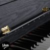 V-TONE PLF-256 BK pianino cyfrowe stacjonarne czarne wolnostojące Bluetooth MIDI 88 klawiszy 