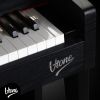 V-TONE PLF-256 BK pianino cyfrowe stacjonarne czarne wolnostojące Bluetooth MIDI 88 klawiszy 