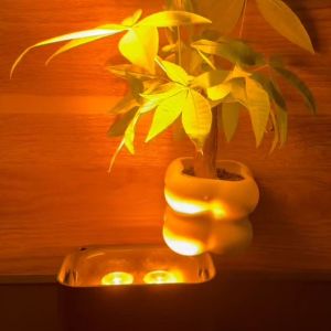 LIGHT4ME ACCU PAR 6x10W RGBWAUV akumulatorowy reflektor par oświetlenie dekoracyjne LED DMX