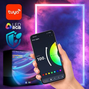 DH Light LD15 taśma LED neon RGB 15m – kompletny zestaw smart tuya / pilot