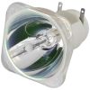 Flash LAMP 7R