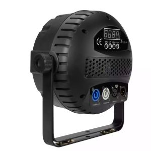 Flash PAR64 LED 2810
