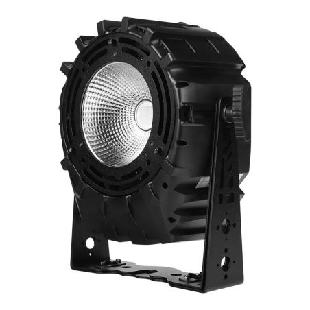 Flash PAR64 LED P300 +AUV