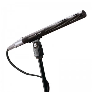 Audio-Technica BP4029 - Mikrofon kierunkowy Stereo