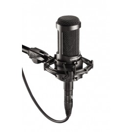 Audio-Technica AT2035 - Mikrofon poj.wielomembr.