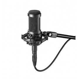 Audio-Technica AT2050 - Mikrofon poj. wielomembr.