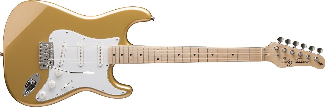 Jay Turser JT 300 M (SHG) - gitara elektryczna Jay Turser JT 300 M (SHG) - gitara elektryczna