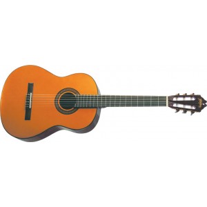 Washburn C 40 (N) - gitara klasyczna