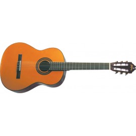 Washburn C 40 (N) - gitara klasyczna