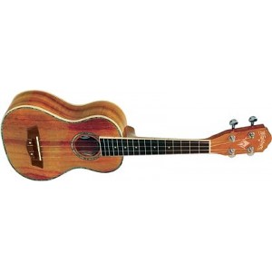 WASHBURN U 50 (N) - ukulele