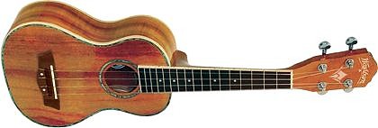 WASHBURN U 50 (N) - ukulele WASHBURN U 50 (N) - ukulele