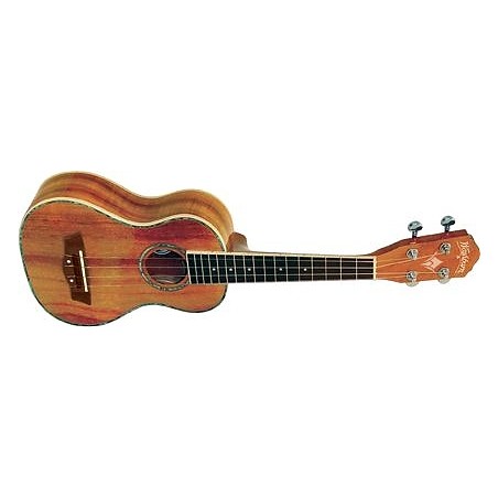 WASHBURN U 50 (N) - ukulele