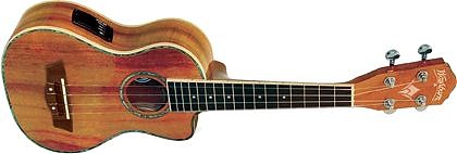 WASHBURN U 50 LCE (N) - ukulele WASHBURN U 50 LCE (N) - ukulele