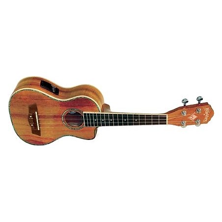 WASHBURN U 50 LCE (N) - ukulele