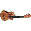 WASHBURN U 50 LCE (N) - ukulele