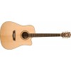 WASHBURN WD 20 SCE (N) seria WD - gitara elektro-akustyczna