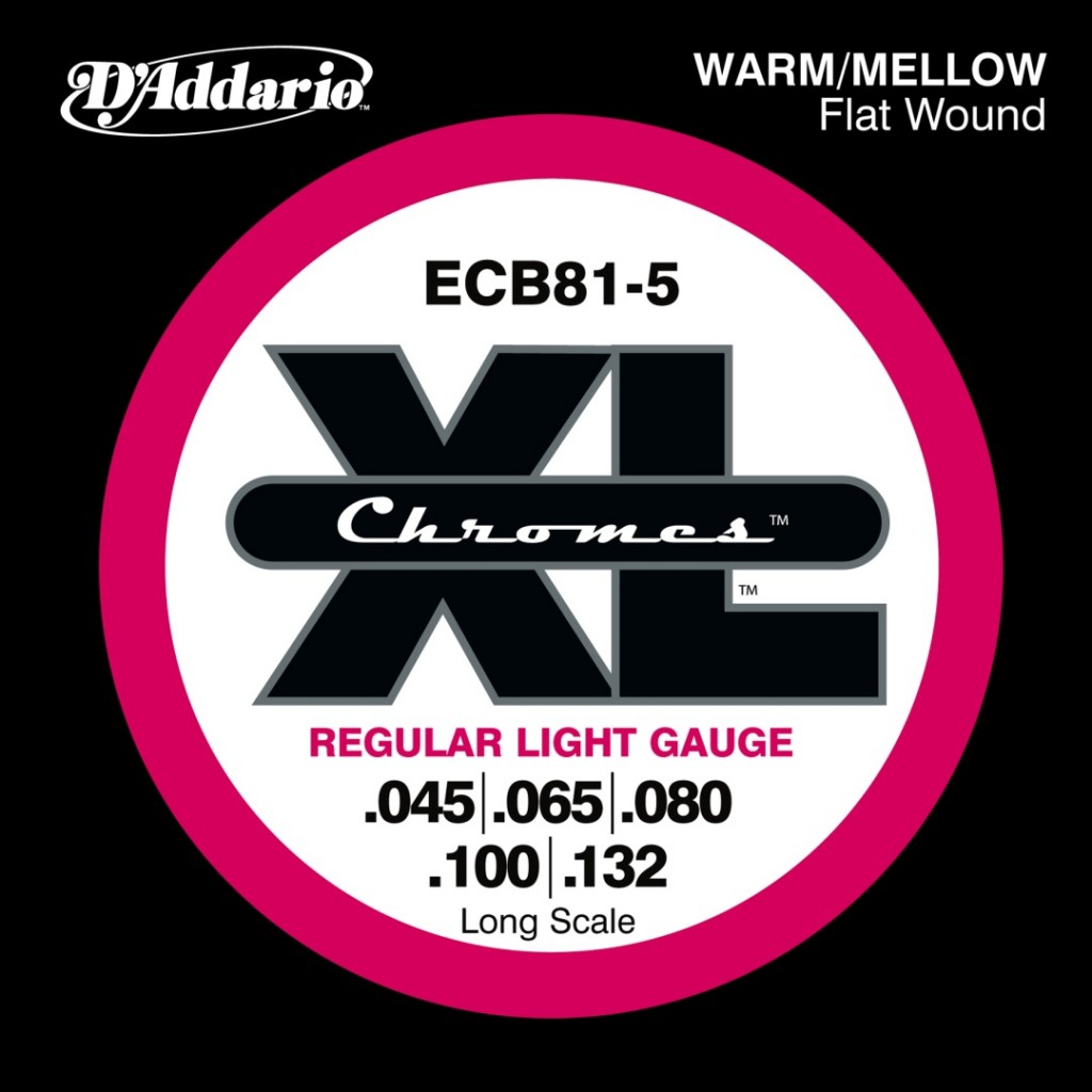 D'ADDARIO ECB81-5 - struny do gitary basowej D'ADDARIO ECB81-5 - struny do gitary basowej