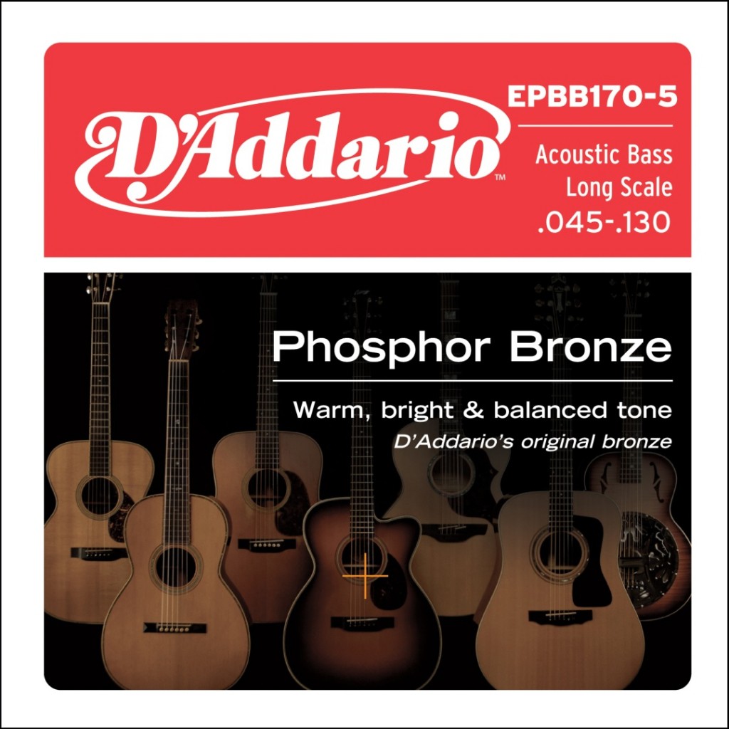 D'ADDARIO EPBB170-5 - struny do gitary basowej D'ADDARIO EPBB170-5 - struny do gitary basowej