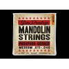 DUNLOP DLP1518 - struny do mandoliny