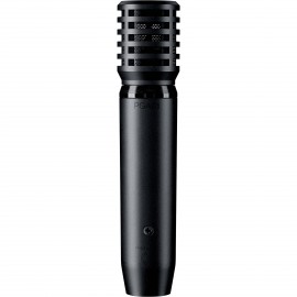 Shure PGA81-XLR
 - mikrofon pojemnościowy instrumentalny