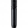 Shure PGA81-XLR
 - mikrofon pojemnościowy instrumentalny