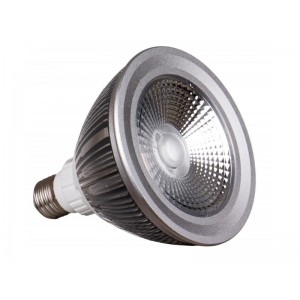 JB Systems LED-PAR38-18W-WW-24D - żarówka LED