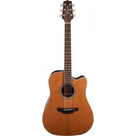 Takamine GD20CE NS - gitara elektro-akustyczna