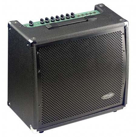 Stagg 60 GA R - combo gitarowe 60 Watt z reverbem