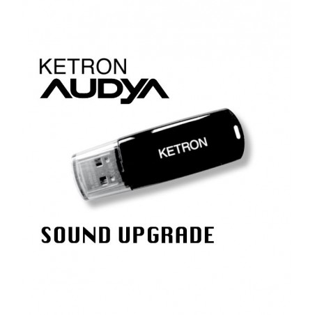 Ketron Pendrive 2010 SOUND UPGRADE - pendrive z dodatkowymi stylami AUDYA