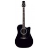 Takamine SW341SC - gitara elektro-akustyczna