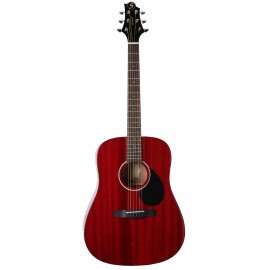 Samick D-1 WR - gitara akustyczna